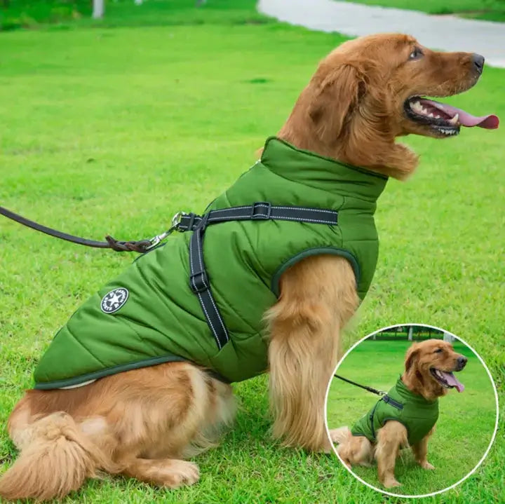 Hondenjas met harnas: comfort, bescherming en gemak in één!