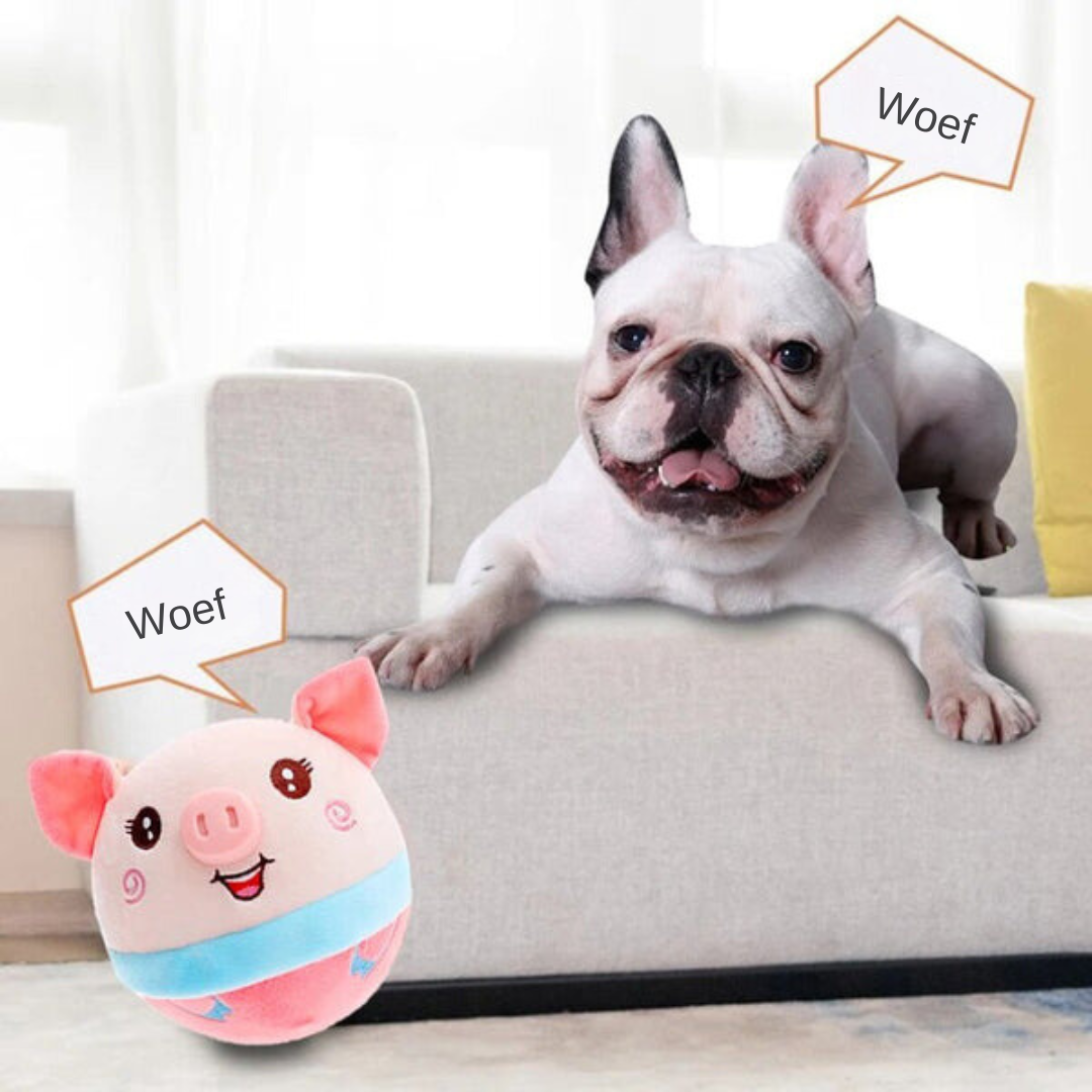 Het Bewegende interactive speelgoed voor Actieve Honden