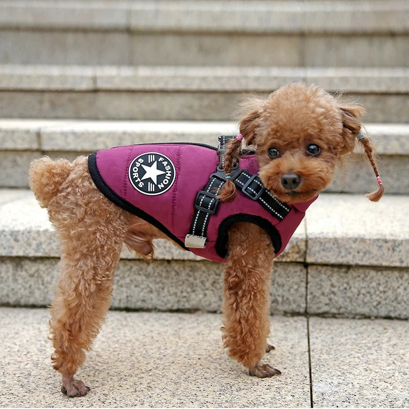 Hondenjas met harnas: comfort, bescherming en gemak in één!