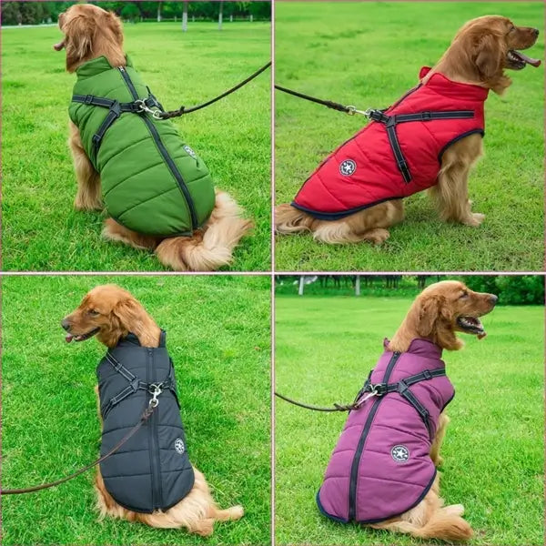 Hondenjas met harnas: comfort, bescherming en gemak in één!
