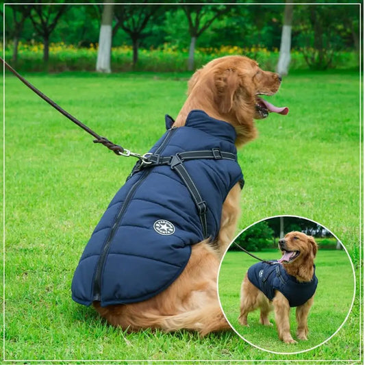 Hondenjas met harnas: comfort, bescherming en gemak in één!