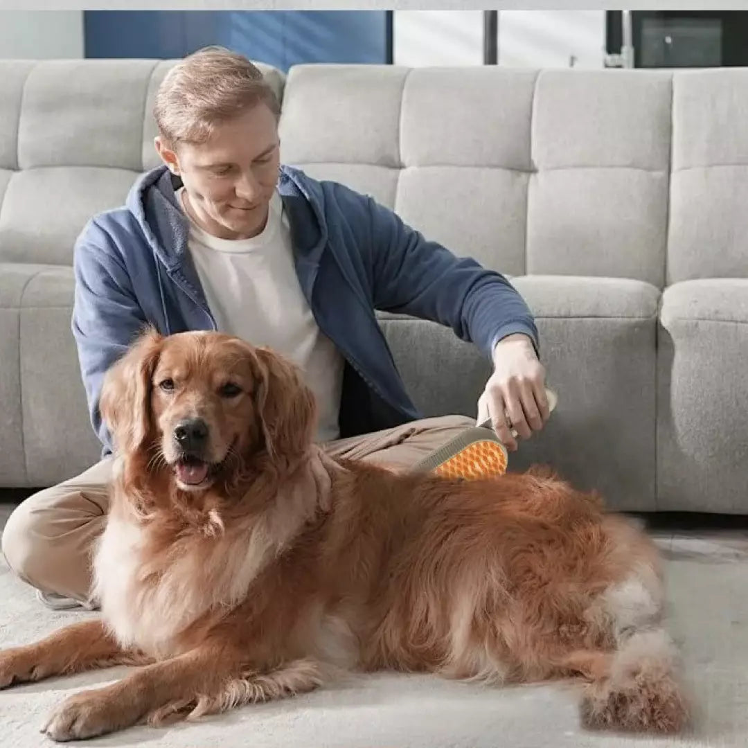 Stoomborstel voor katten en honden | Model 2024