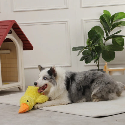 Knuffelspeeltje voor honden met geluid