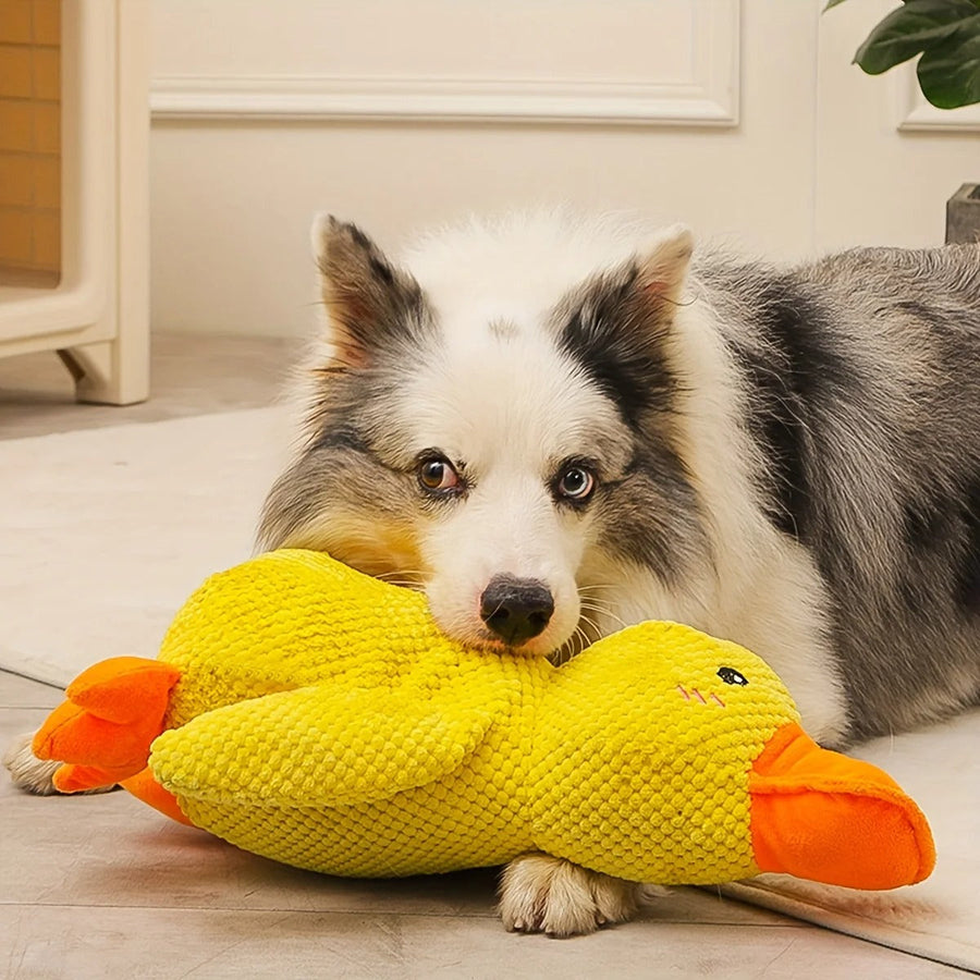 Knuffelspeeltje voor honden met geluid