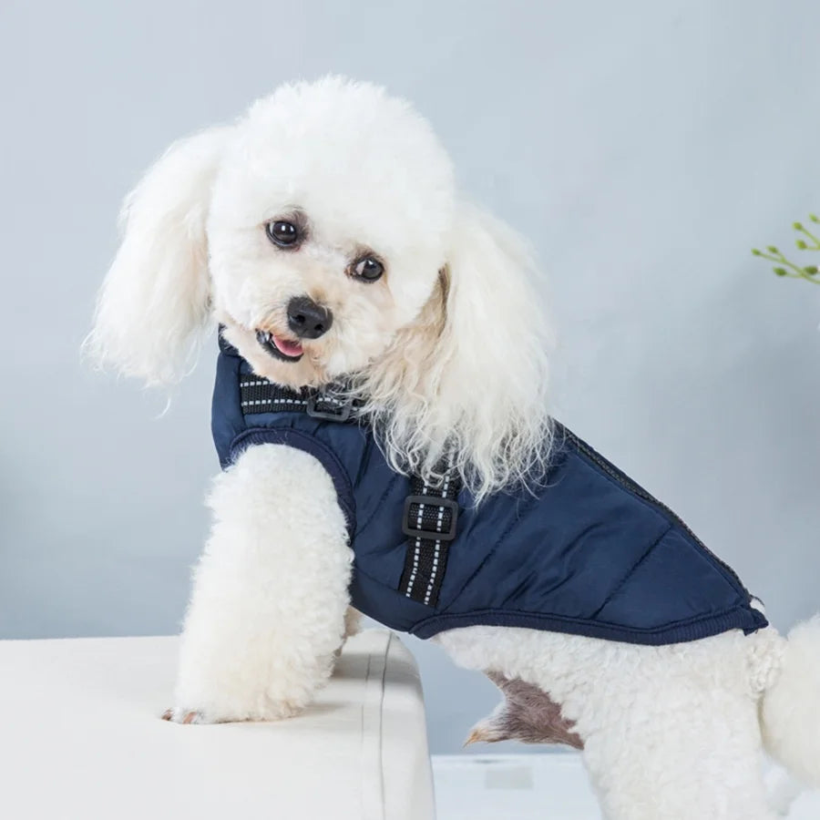 Hondenjas met harnas: comfort, bescherming en gemak in één!